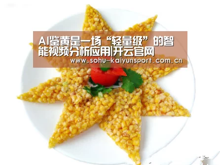 AI鉴黄是一场“轻量级”的智能视频分析应用|开云官网